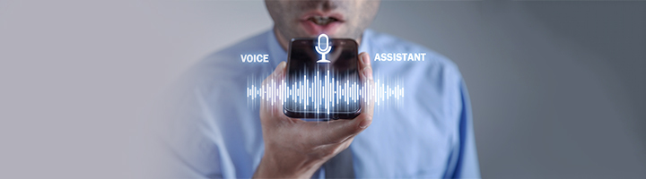 Voice Search Optimization